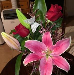 Meet your Posher, Carmen